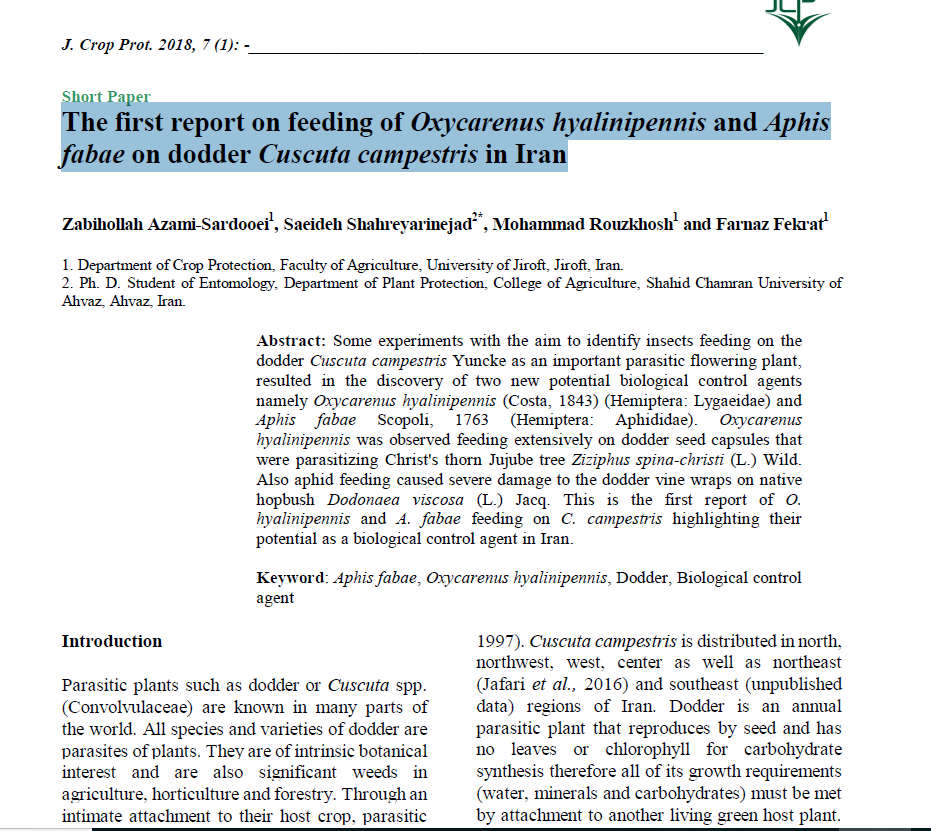 The first report on feeding of Oxycarenus hyalinipennis and Aphis fabae on dodder Cuscuta campestris in Iran